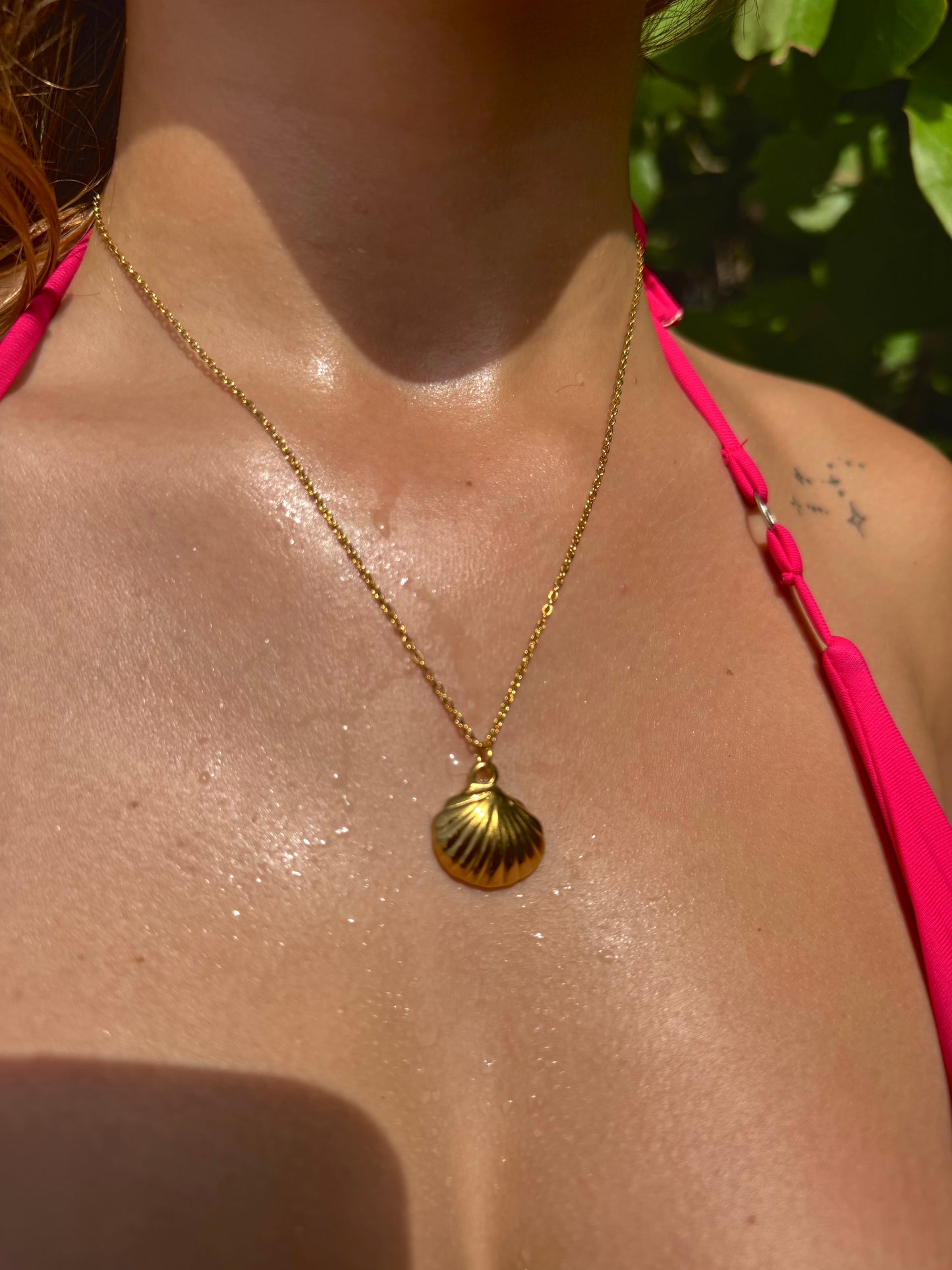 SeaShell Necklace