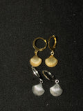 Sea Shell Earrings