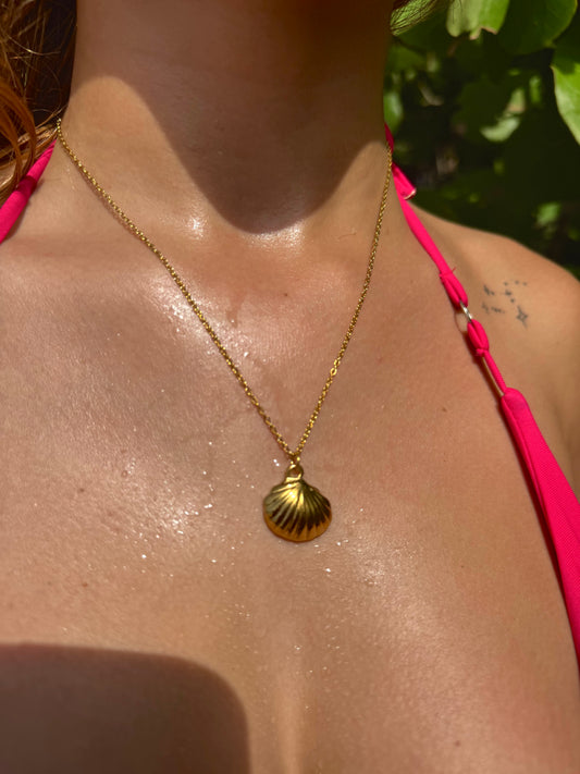SeaShell Necklace