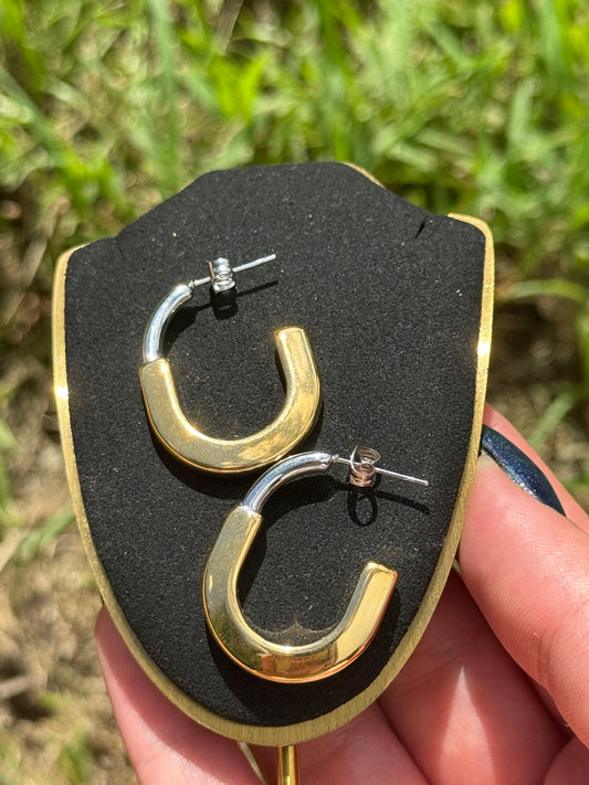 Taira Doble Tone Earrings