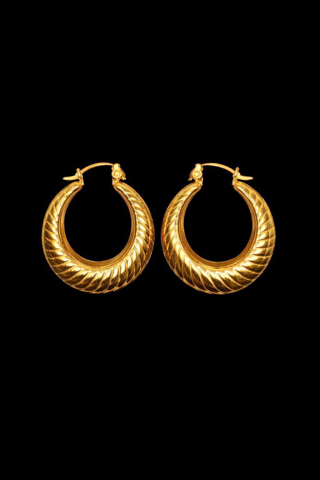 Sally Hoop Earrings